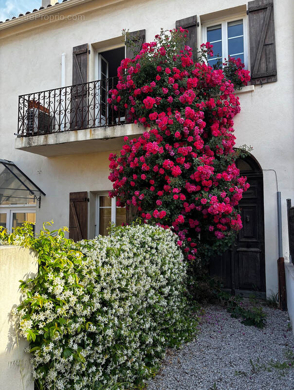Appartement à CAURO