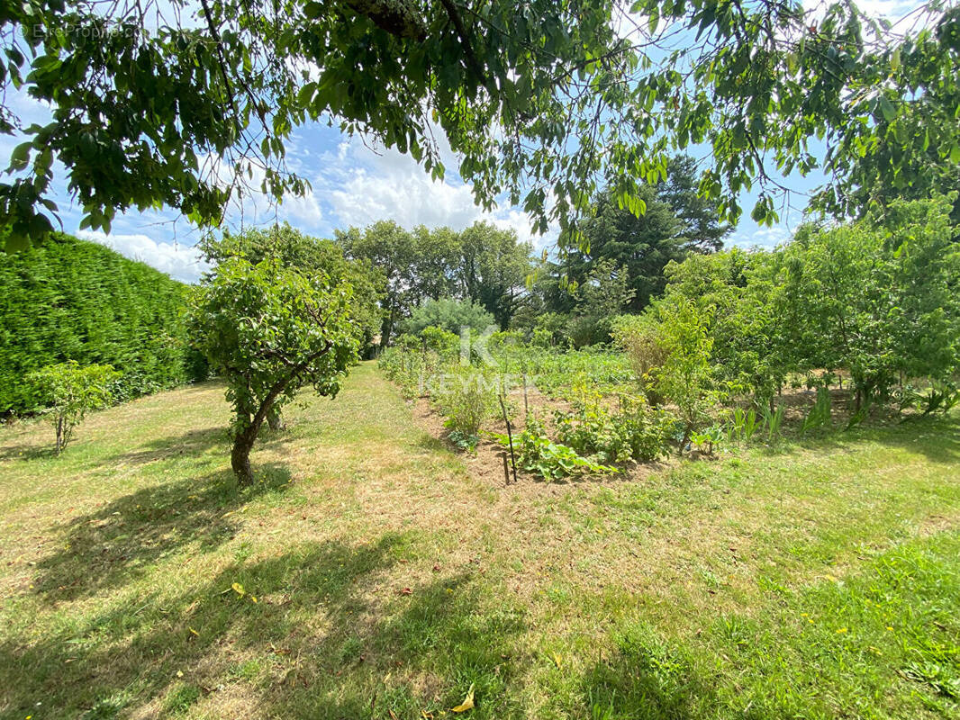 Terrain à SAINT-FLORENT-DES-BOIS