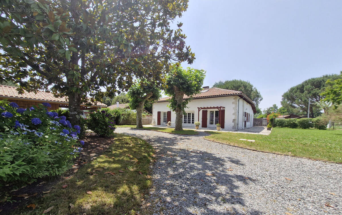 Maison à LINXE