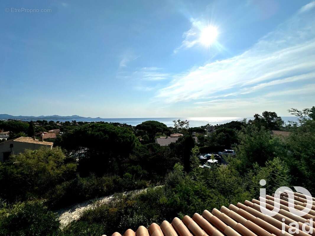 Photo 5 - Maison à ROQUEBRUNE-SUR-ARGENS