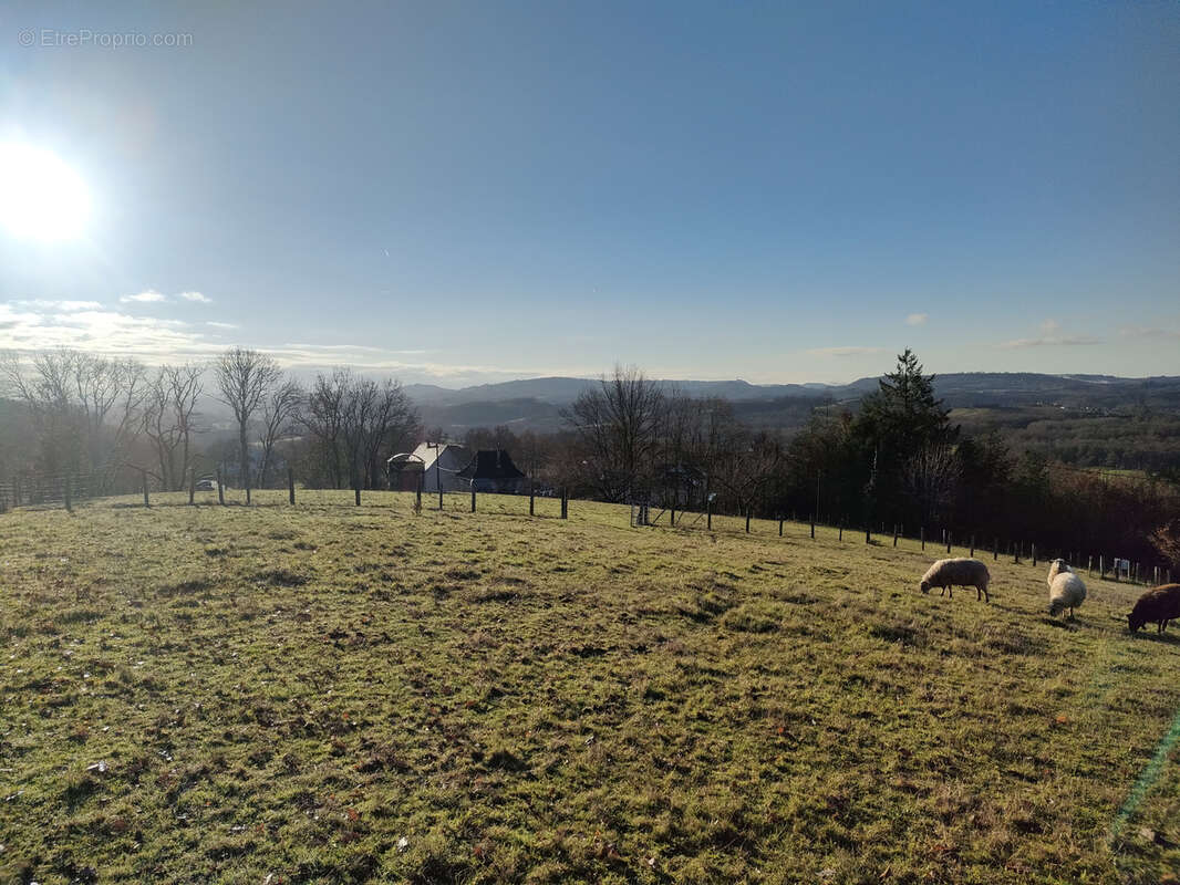 Terrain à JUILLAC