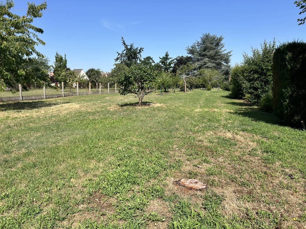 Terrain à FRENEUSE