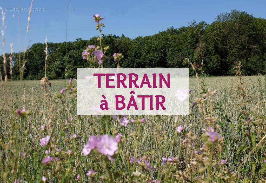 Terrain à SAINT-LAURENT