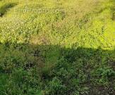 Terrain à LA BERNERIE-EN-RETZ