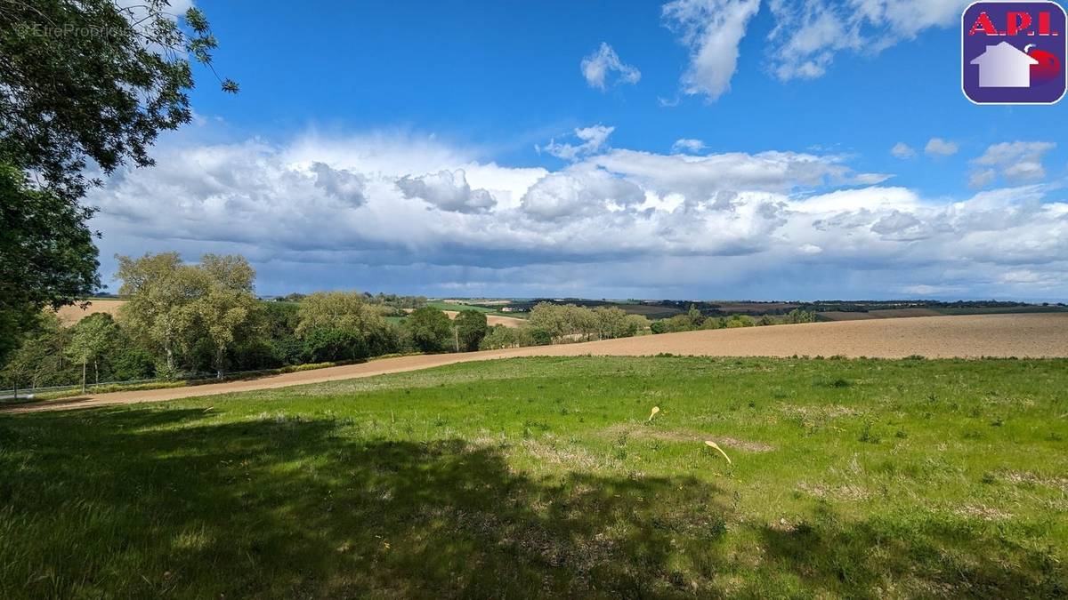 Terrain à NAILLOUX