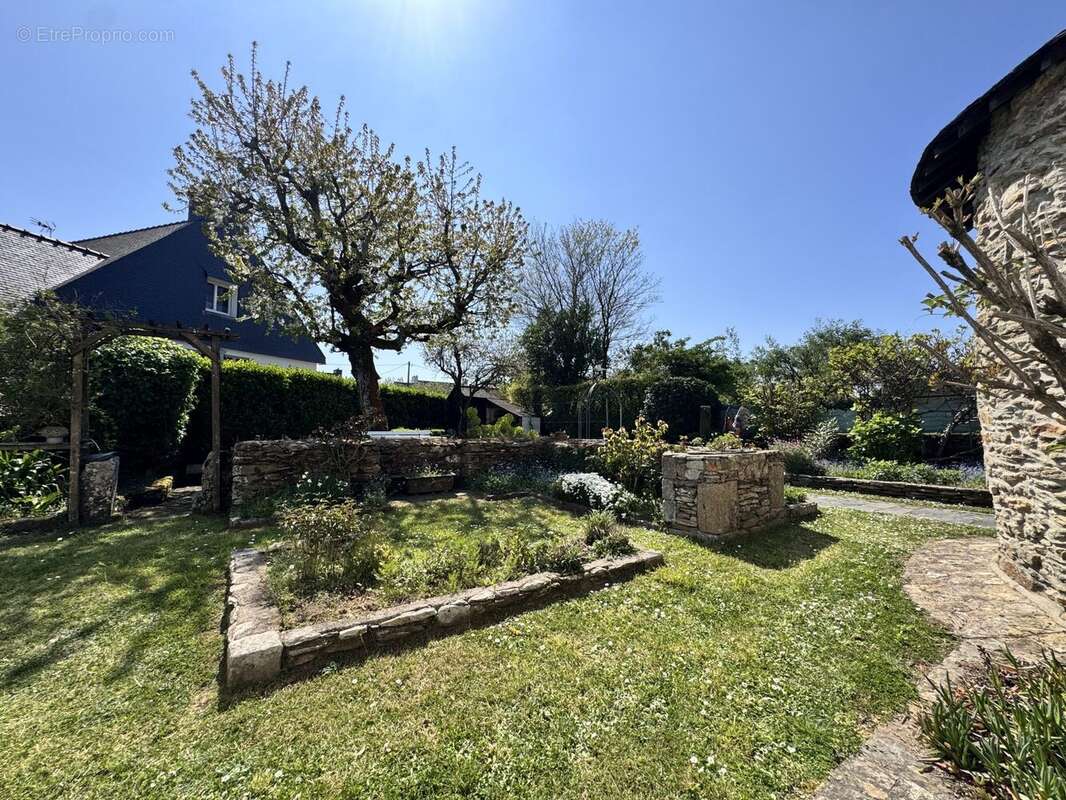 Maison à DAMGAN