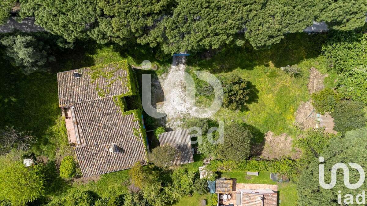Photo 2 - Maison à SAINT-TROPEZ