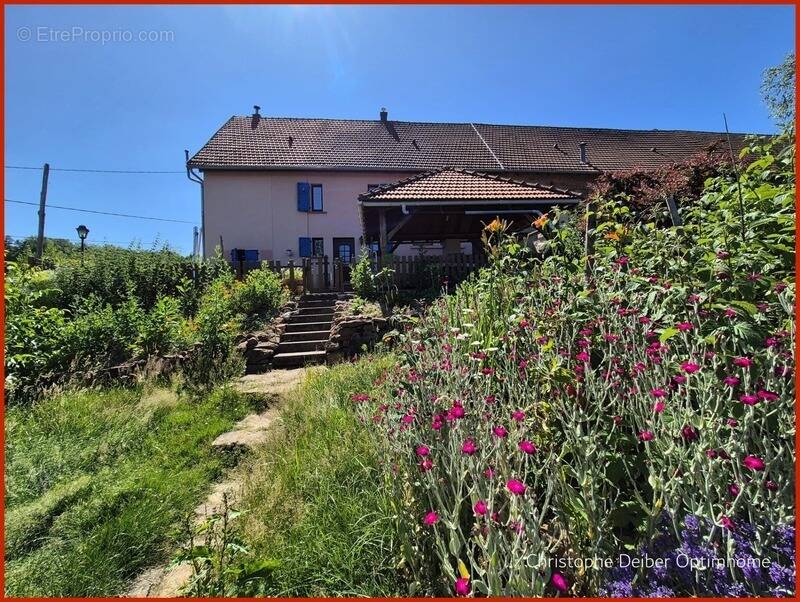 Maison à STURZELBRONN