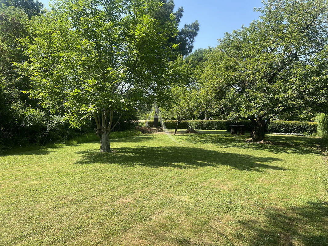 Terrain à LABEGE