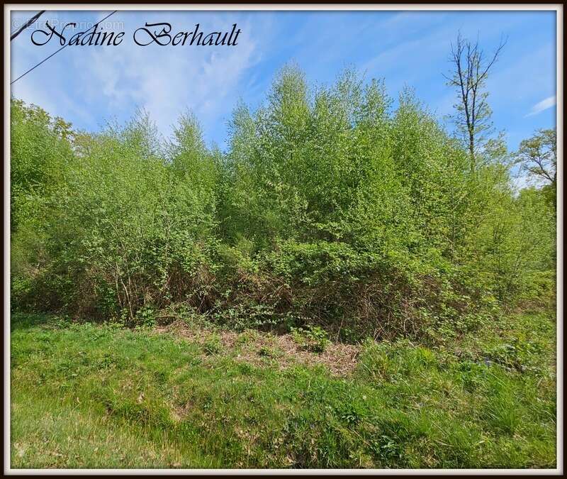 Terrain à ERVAUVILLE