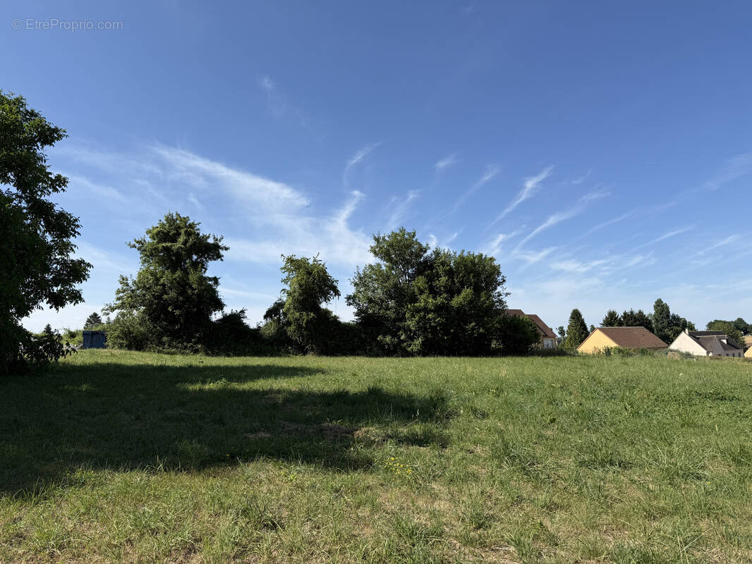 Terrain à BELLEME