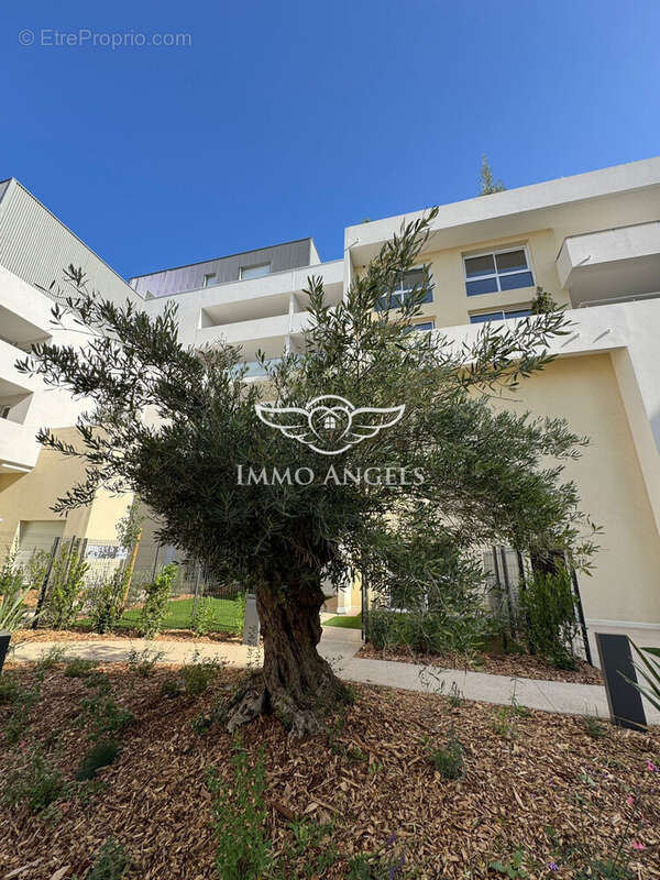 Appartement à MONTPELLIER