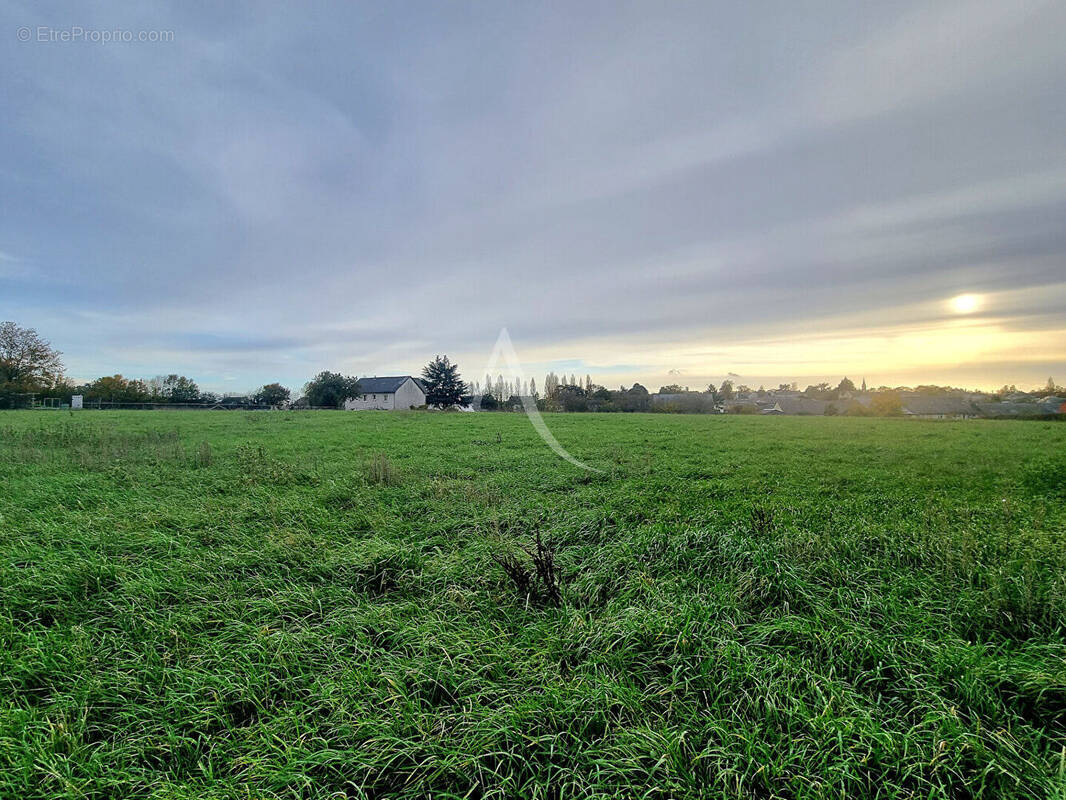 Terrain à MIRE