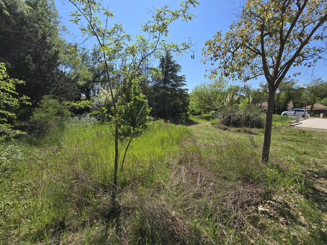 Terrain à PRADES-LE-LEZ