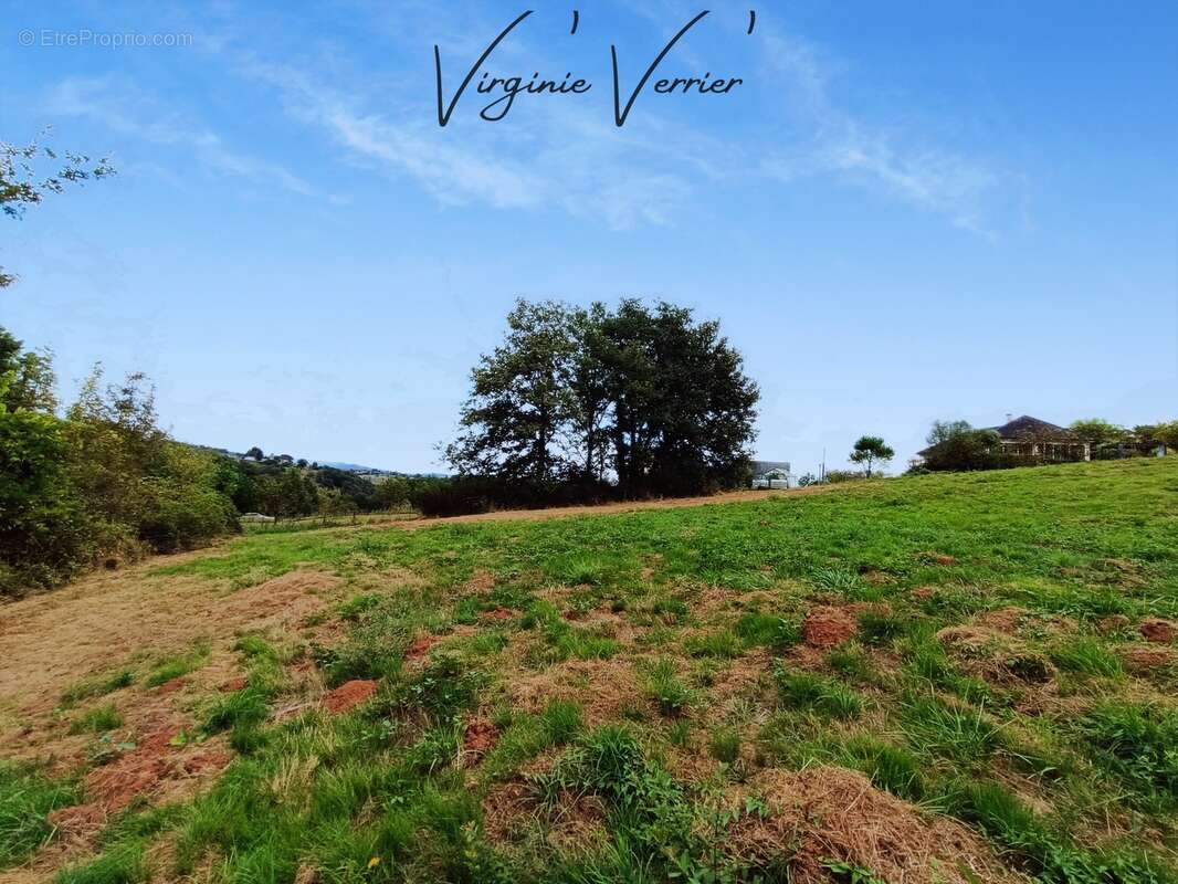 Terrain à SAINT-CYPRIEN