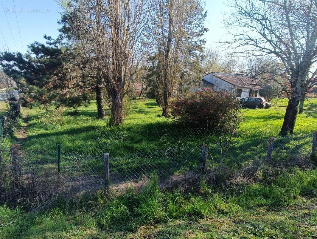 Terrain à SAINT-SAVIN