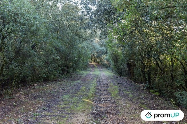 Terrain à LE CANNET-DES-MAURES