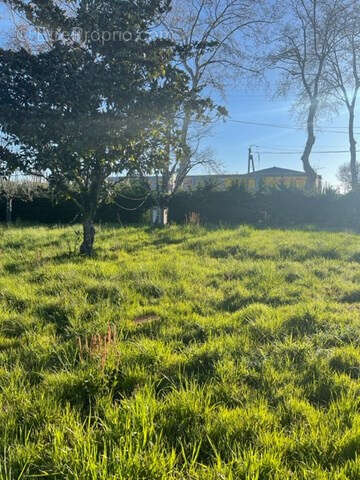 Terrain à MONTAUBAN
