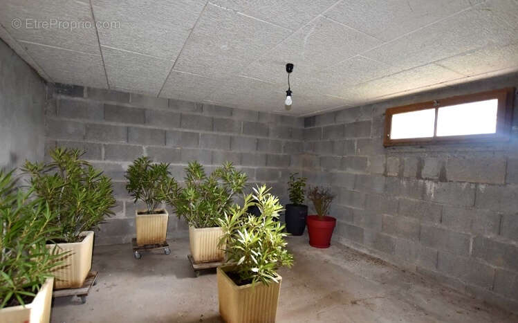 Maison à ARFEUILLES