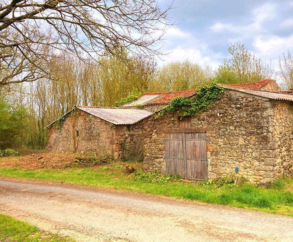 Terrain à LES LUCS-SUR-BOULOGNE
