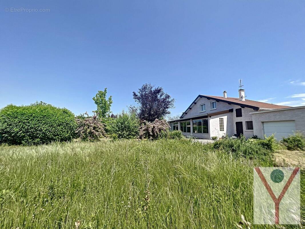 1600 m2 de terrain constructible et piscinable - Maison à BOURG-EN-BRESSE