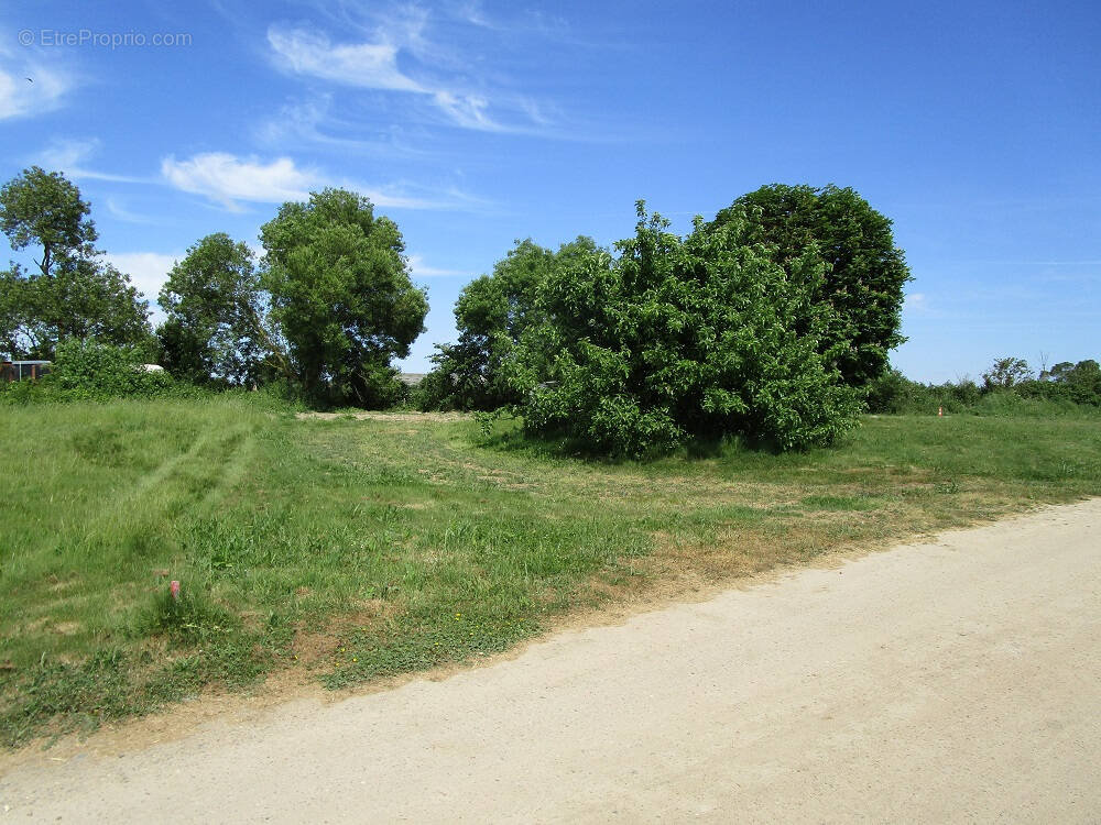 Terrain à LA JONCHERE