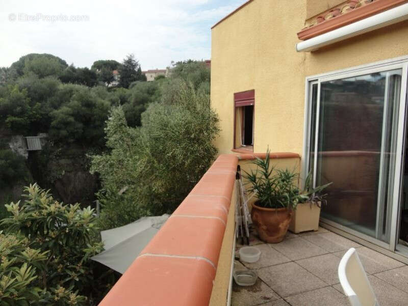 Appartement à COLLIOURE