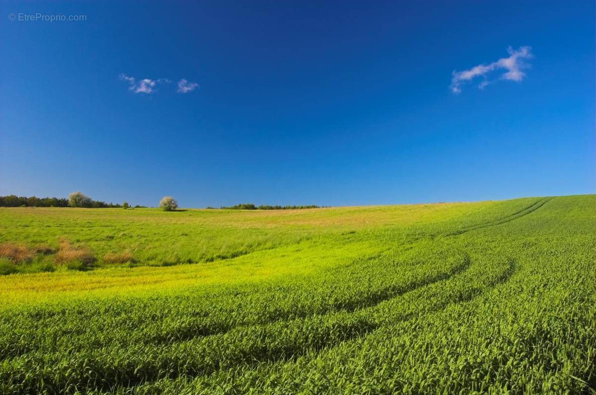 Terrain à ROQUETTES