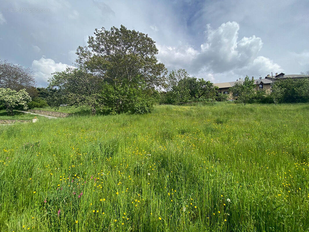 Terrain à RISOUL