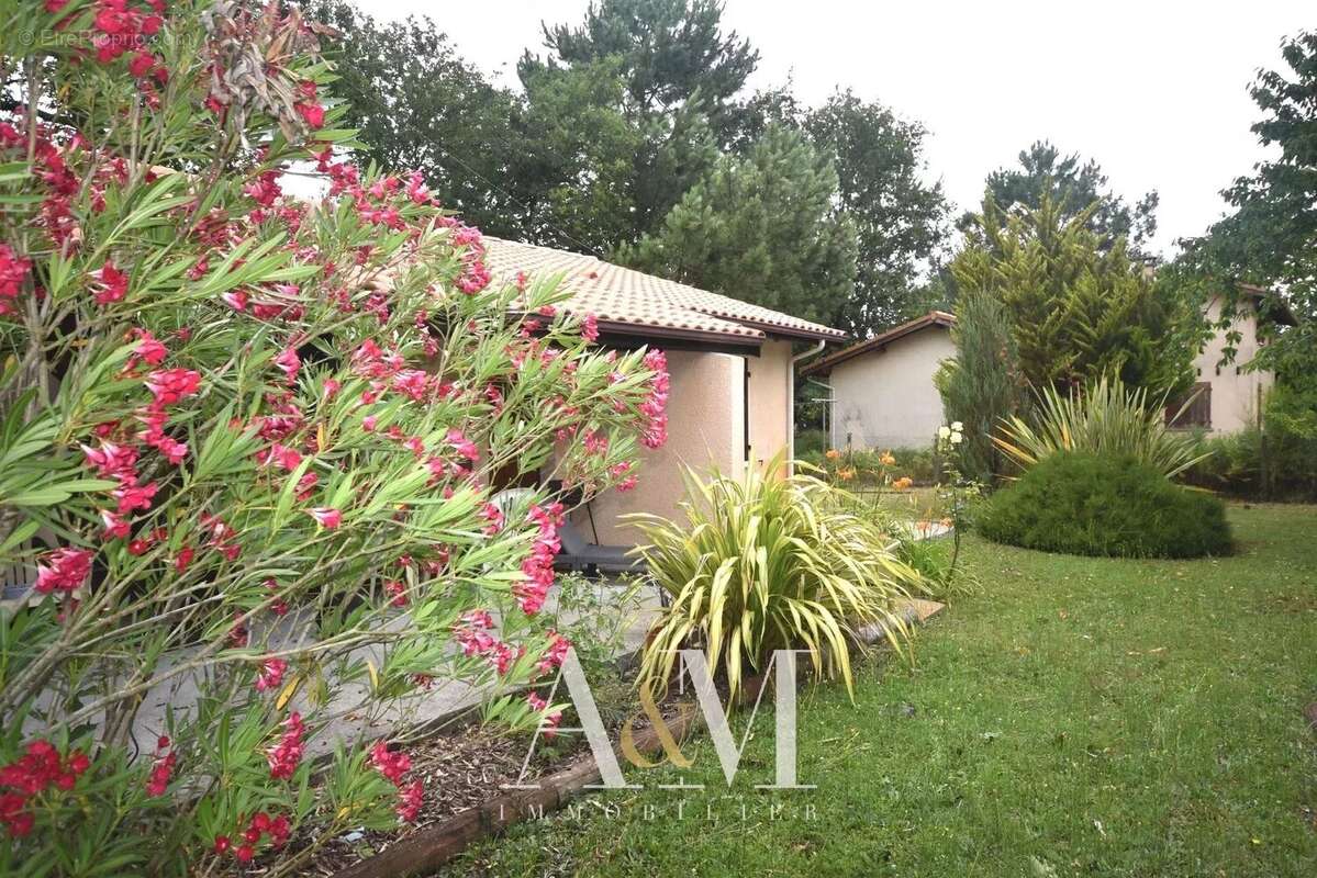 Maison à ANDERNOS-LES-BAINS