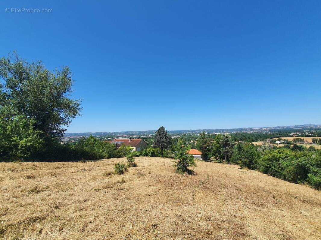 Terrain à ALBI