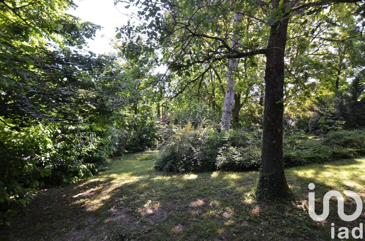 Photo 1 - Terrain à SANNOIS