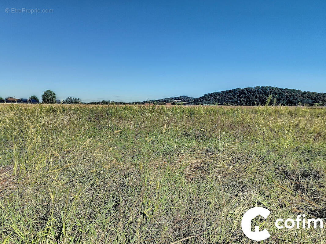 Terrain plat, constructible, viabilisé et hors lotissement - Terrain à BORDES