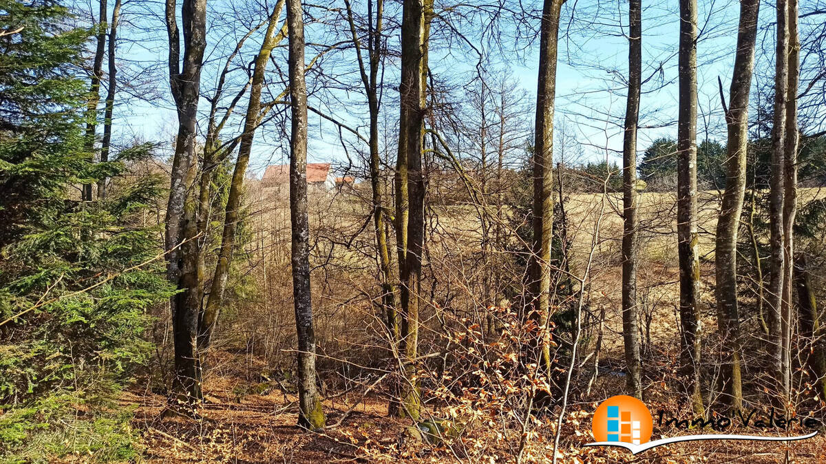 Terrain à XERTIGNY