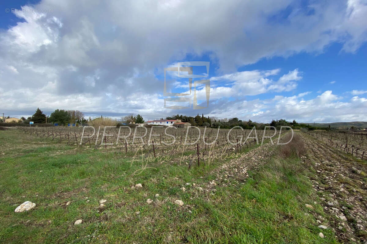 Terrain à CASTILLON-DU-GARD