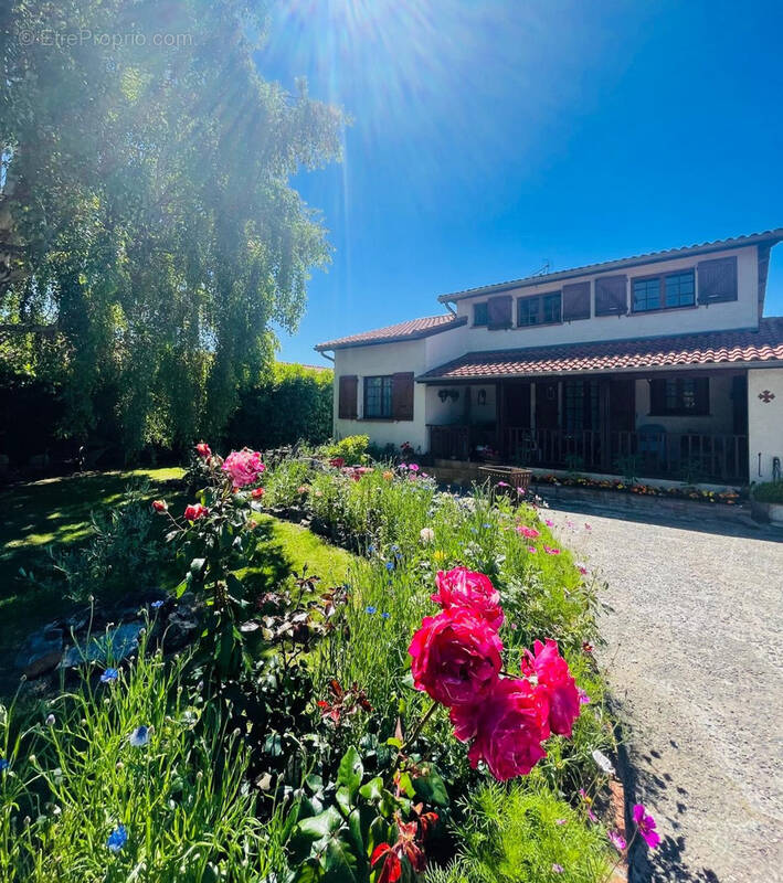 Maison à MURET