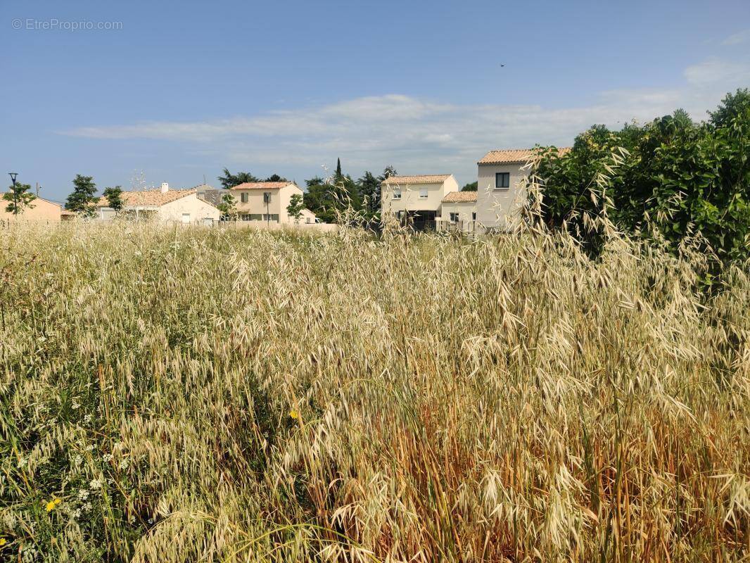 Terrain à CAMARET-SUR-AIGUES