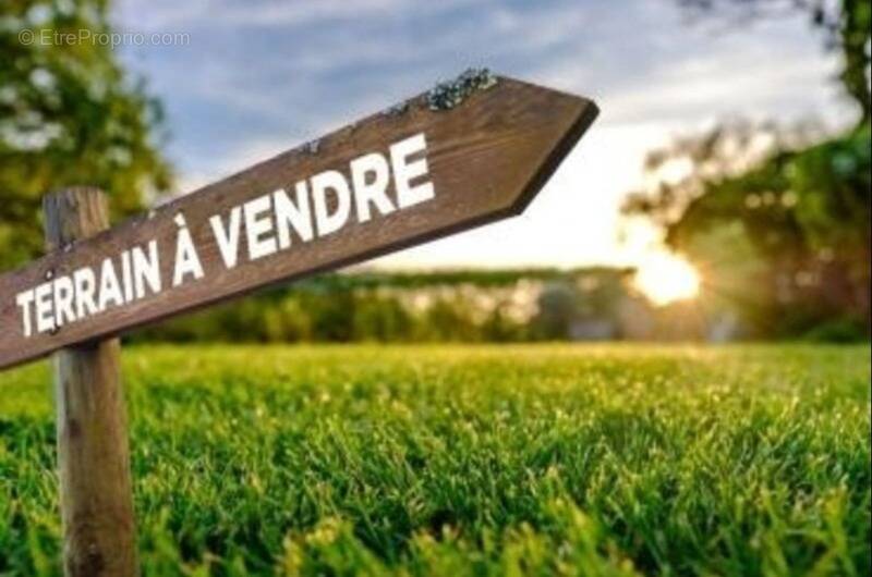 Terrain à REPLONGES