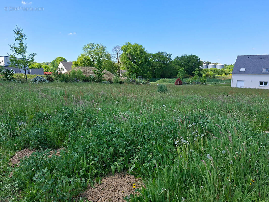 Terrain à RETIERS