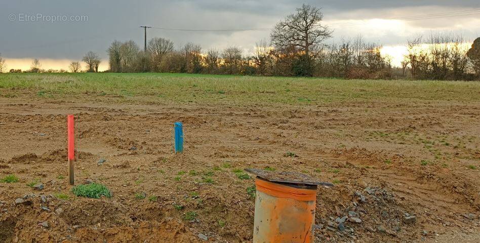 Terrain à CHASNAIS