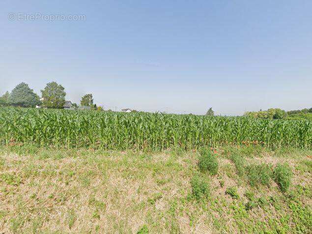 Terrain à SEICHES-SUR-LE-LOIR