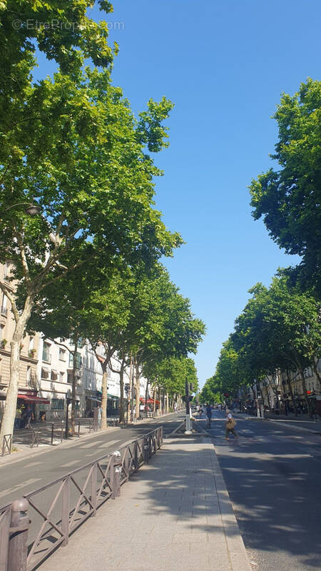 Commerce à PARIS-6E