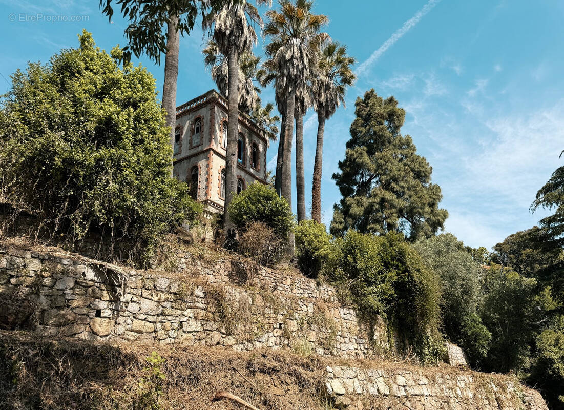 Terrain à VALLAURIS