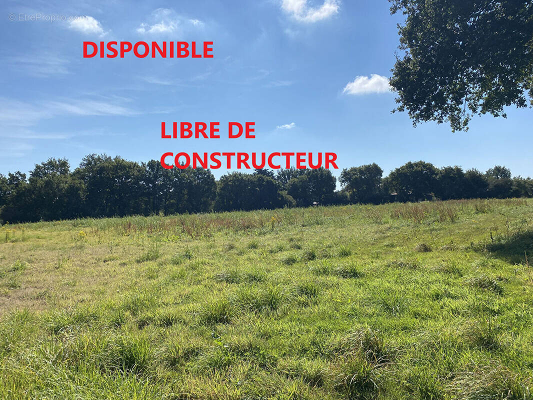Terrain à SAINT-PERE-EN-RETZ