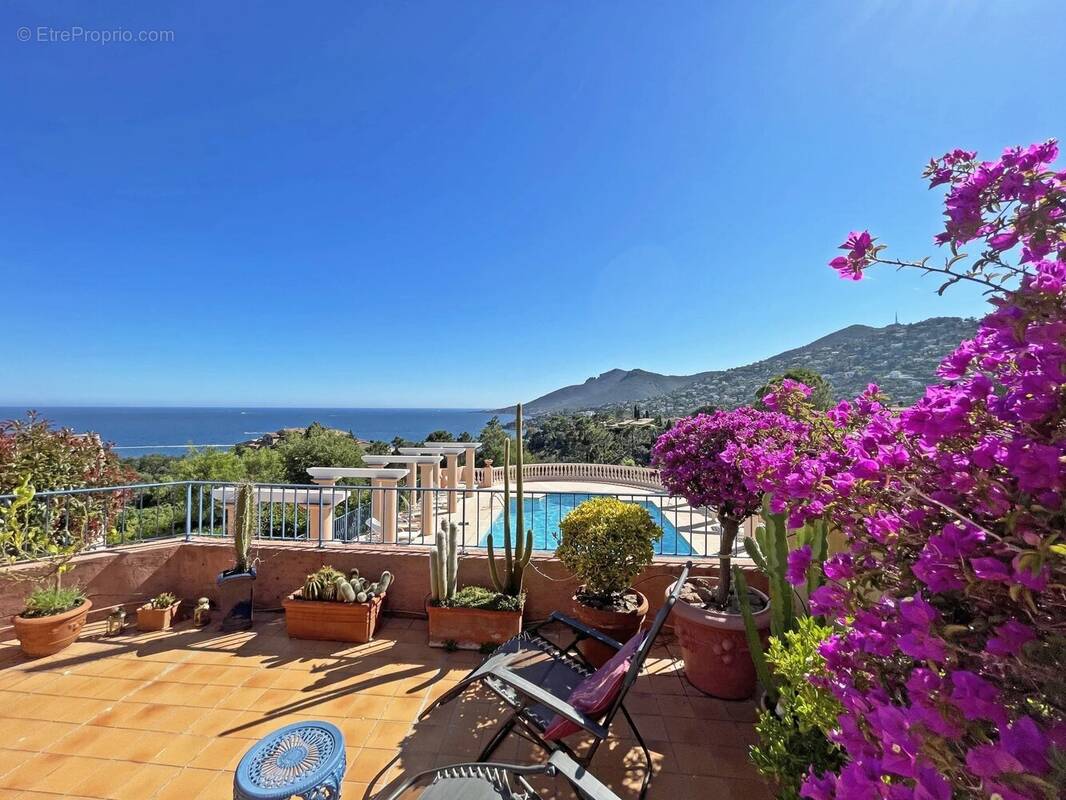 Appartement à THEOULE-SUR-MER