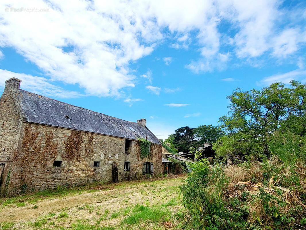 Maison à BELZ