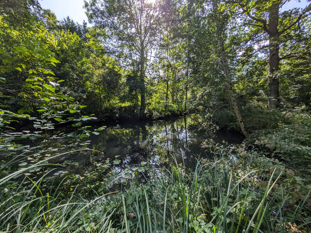 Terrain à MONTARGIS