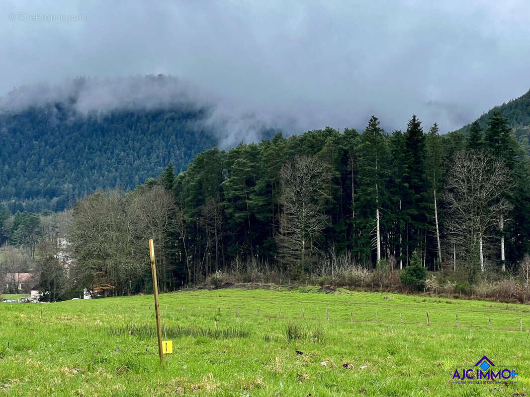Terrain à SAINT-DIE-DES-VOSGES