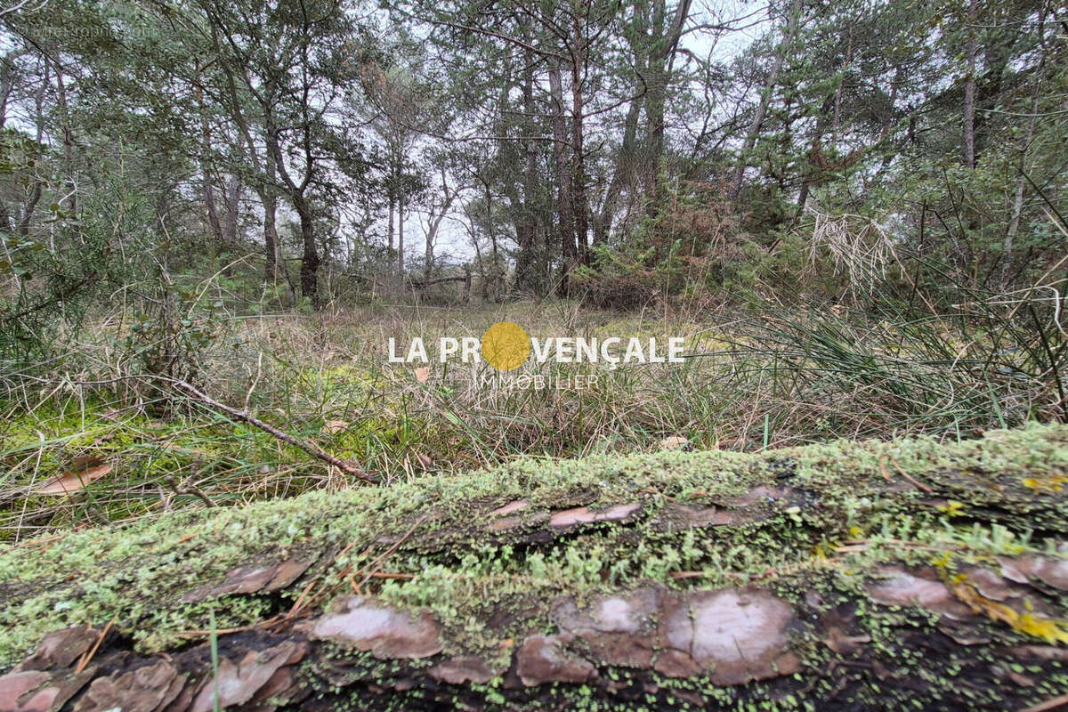 Terrain à NANS-LES-PINS