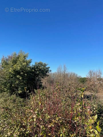Terrain à MONTAUBAN